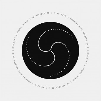 Signal Minor – Introspection [Hi-RES]