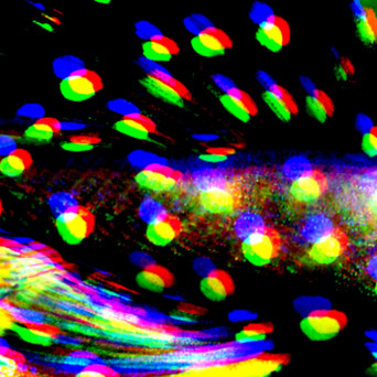 Maltitz – Cape Galaxias [Hi-RES]