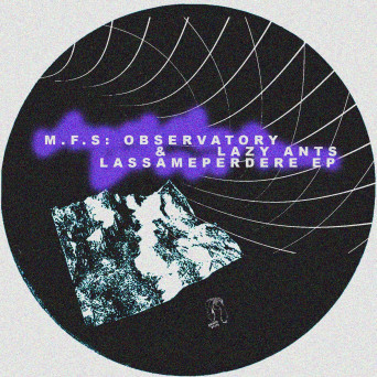 Lazy Ants & M.F.S: Observatory – Lassameperdere EP
