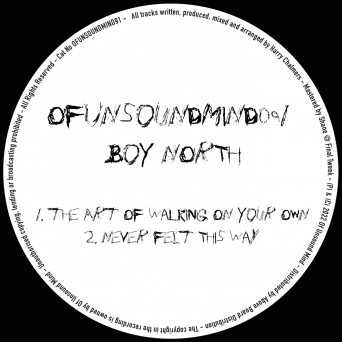 Boy North – The Art Of Walking On Your Own / Never Felt This Way