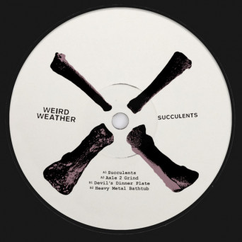 Weird Weather – Succulents EP