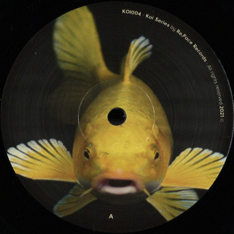 Avidel – Entre Miradas [VINYL]