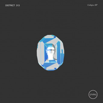 District 313 – Collapse EP [Hi-RES]