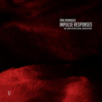 Jorg Rodriguez – Impulse Responses