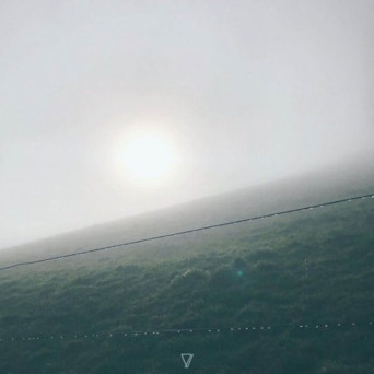 Mutul – Fields