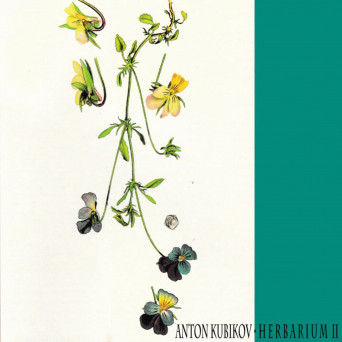 Anton Kubikov – Herbarium Part Two