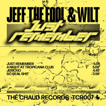 Jeff The Fool, Wilt – Just Remember