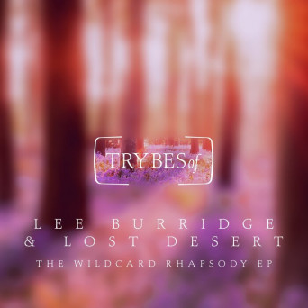 Lee Burridge & Lost Desert – The Wildcard Rhapsody EP