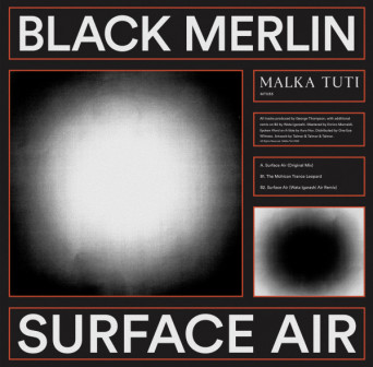 Black Merlin – Surface Air
