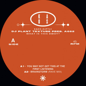 DJ Plant Texture Presents A662 – What Is This Bwoy?