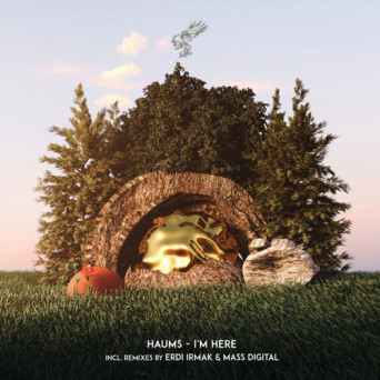 HAUMS – I’m Here