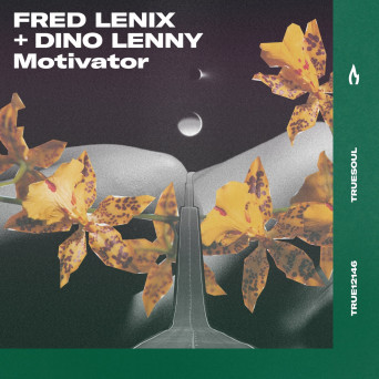 Fred Lenix, Dino Lenny – Motivator