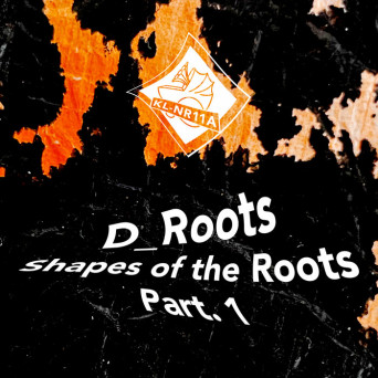 D_Roots – Shapes of the Roots – Part1