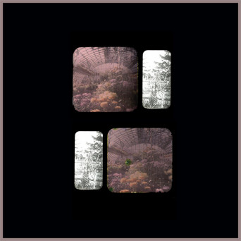 E-Mertz – Iron Forest Anomaly LP