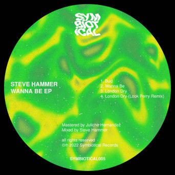 Steve Hammer – Wanna Be