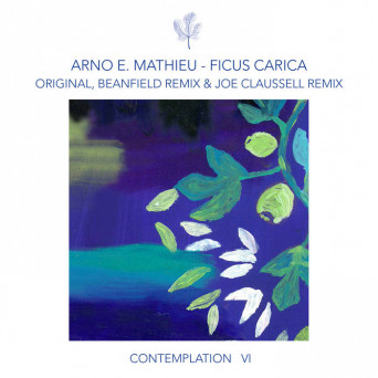Arno E. Mathieu – Contemplation VI – Ficus Carica
