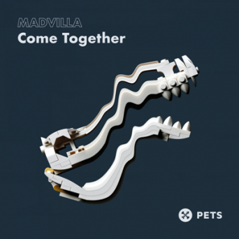 MADVILLA & Aanu – Come Together