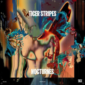 Tiger Stripes – Nocturne