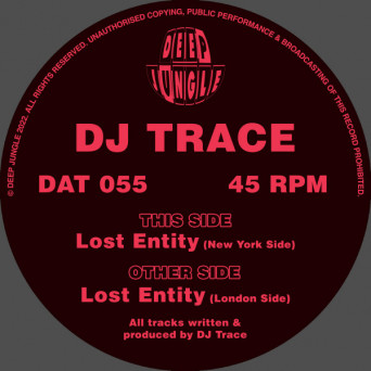 DJ Trace – Lost Entity