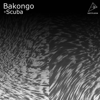 Bakongo – Iceberg