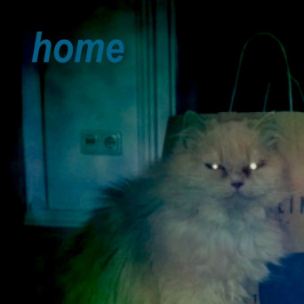 TB – Home