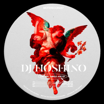 DJ Hoshino – The Way Things Are