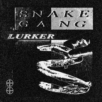 Snake Gang – Lurker