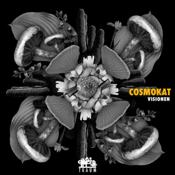 Cosmokat, Marvin Jam – Visionen