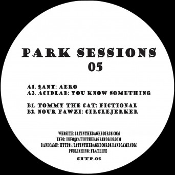 VA – Park Sessions 05 [Hi-RES]