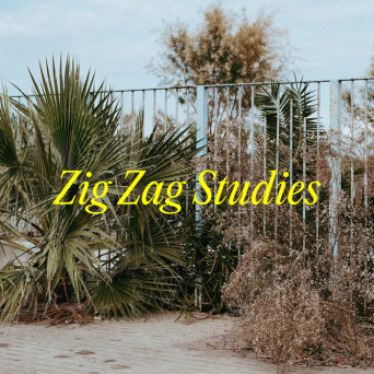 Johannes Albert – Zig Zag Studies