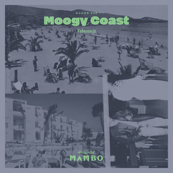 Moogy Coast – Koherencja