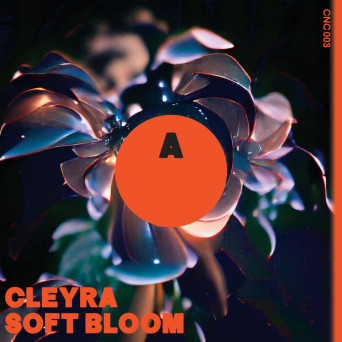 Cleyra – Soft Bloom