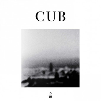 Cub – C U 1