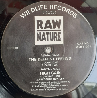 Raw Nature – The Deepest Feeling [VINYL]