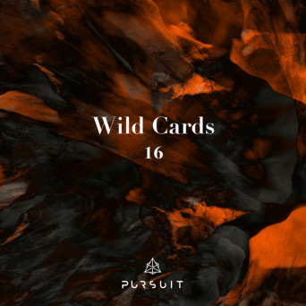 VA – Wild Cards [Hi-RES]