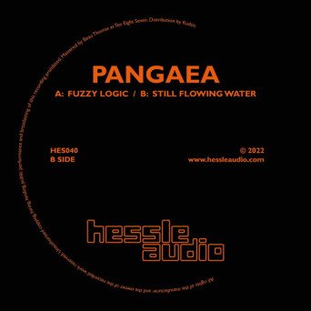 Pangaea – Fuzzy Logic / Still Flowing Water