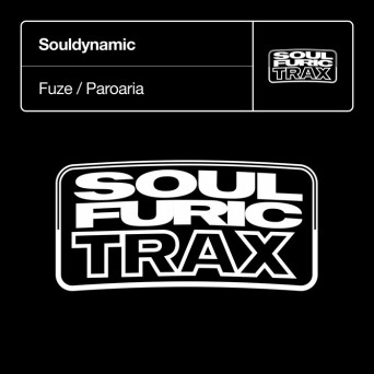 Souldynamic – Fuze / Paroaria