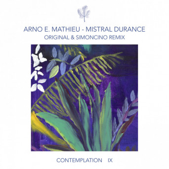 Arno E. Mathieu – Contemplation IX – Mistral Durance