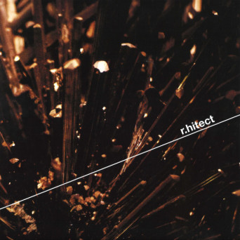 r.hitect – Common Souls [VINYL]
