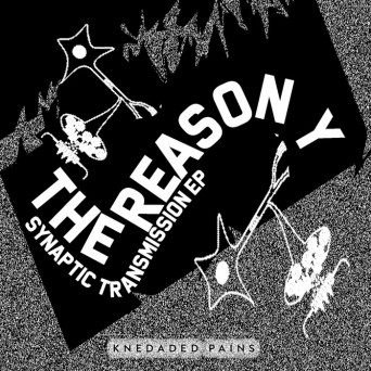 The Reason Y – Synaptic Transmission EP