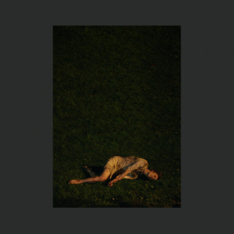 Yeah Yeah Yeahs – Wolf (Boys Noize Remix)