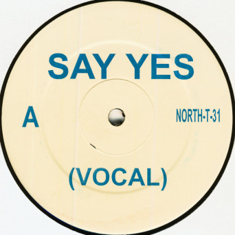 Y-Tribe – Say Yes [VINYL]
