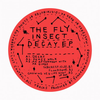 The Fly Insect – Decay EP