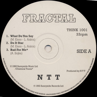 N T T – What Do You Say [VINYL]