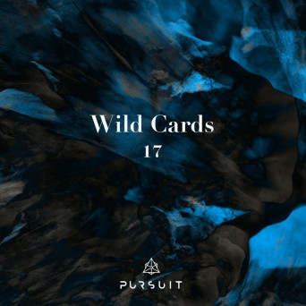 VA – Wild Cards 17 [Hi-RES]