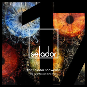 VA – The Selador Showcase – The Seventeenth Instalment [Hi-RES]