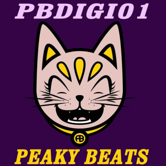 Peaky Beats – PBDIGI01