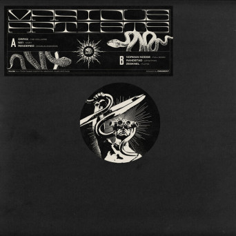 VA – MURDER 05 – VARIOUS ARTISTS