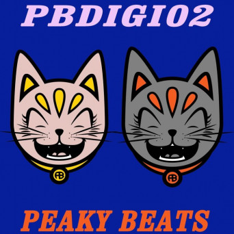 Peaky Beats – PBDIGI02