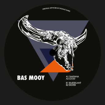 Bas Mooy – Pleistocene Future 2